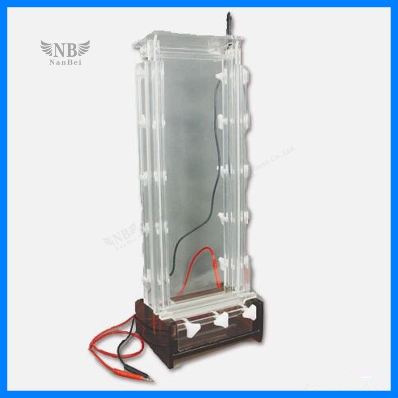 DNA Sequencing Analysis Vertical Electrophoresis Cell