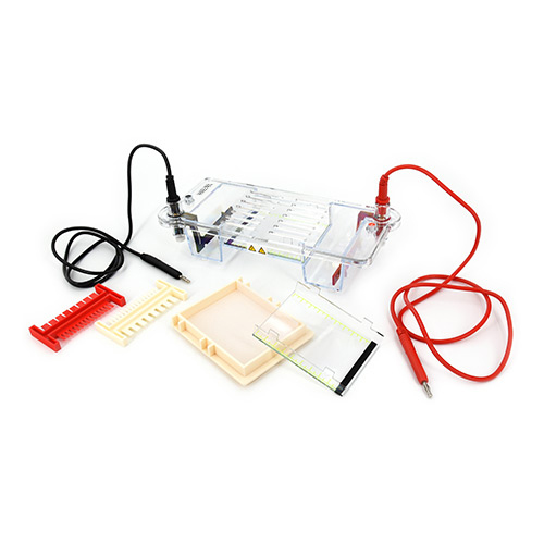 DYCP-31C Electrophoresis Cell