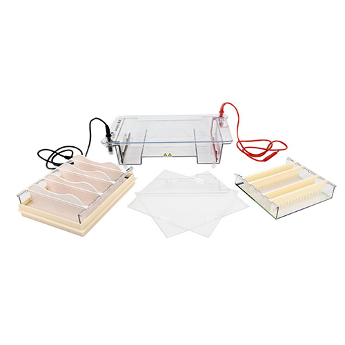 DYCP-31E Electrophoresis Cell