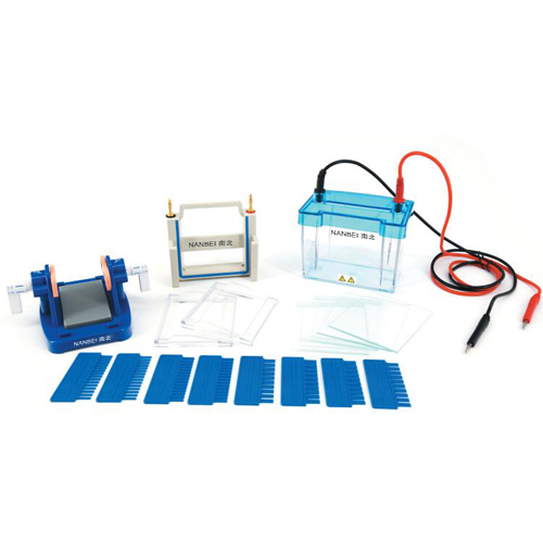 DYCZ-24EN Electrophoresis Cell