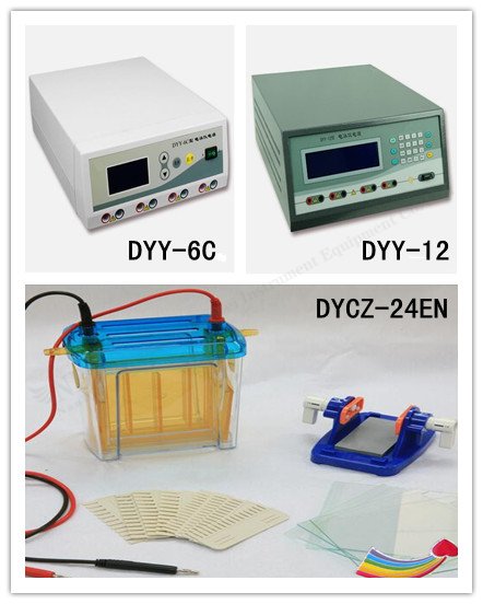 electrophoresis tank