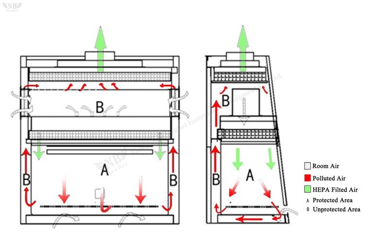 biosafety cabinet