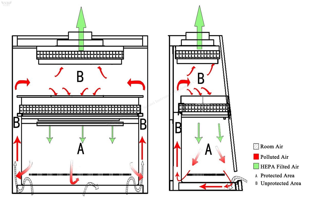 laboratory biosafety cabinet