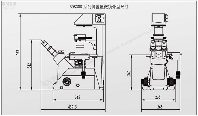 electron microscope digital